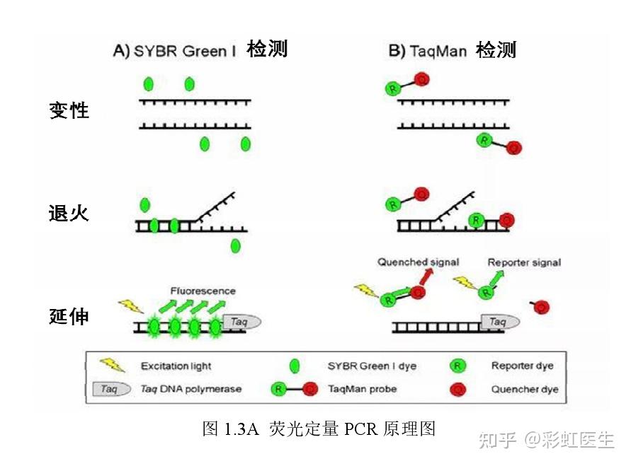 西安新冠最新疫情/西安新冠疫情最新数据-第2张图片