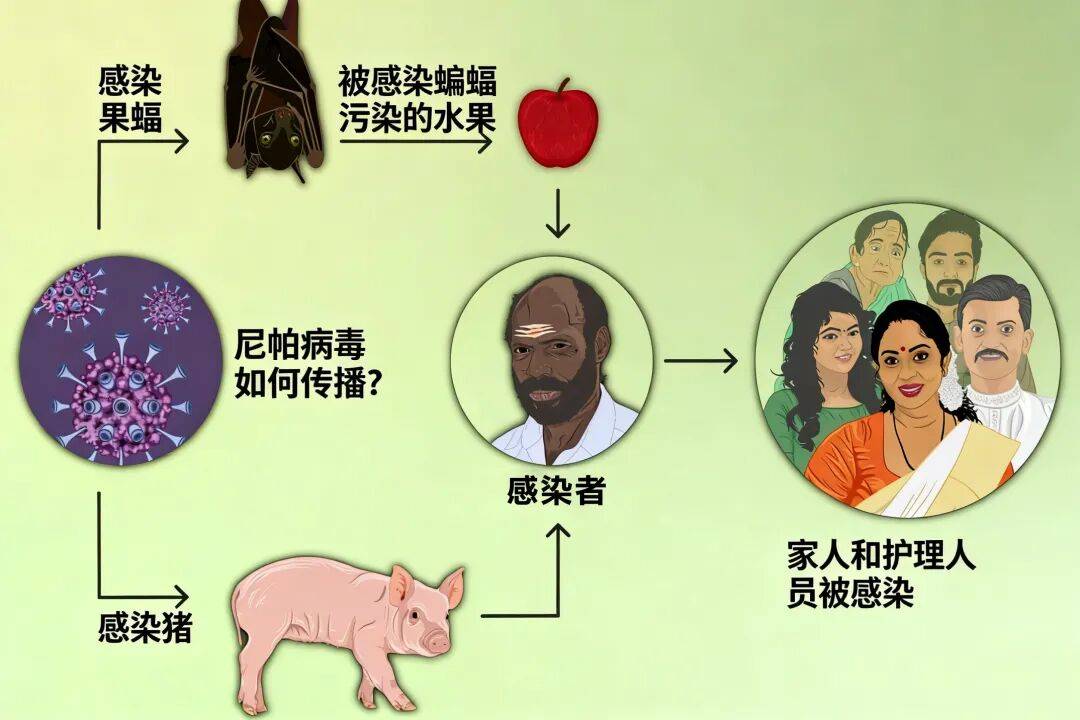 本次疫情叫什么/本次疫情叫什么名字-第2张图片