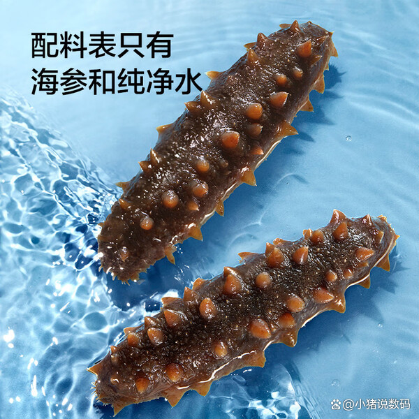 海参品牌排名榜(海参前十品牌排名)-第2张图片