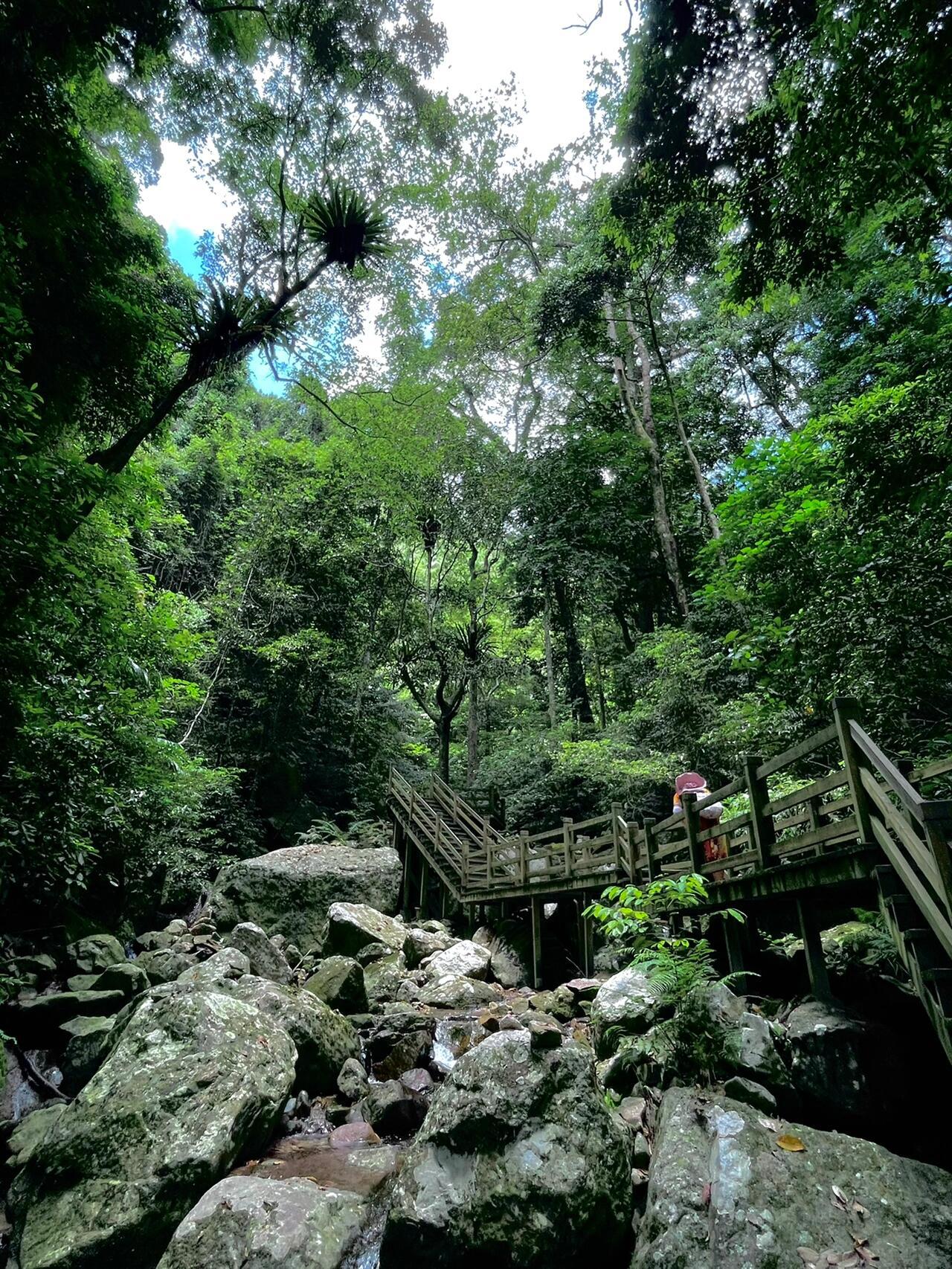 【三亚哪些景点值得去,三亚哪些景点值得去玩】-第1张图片