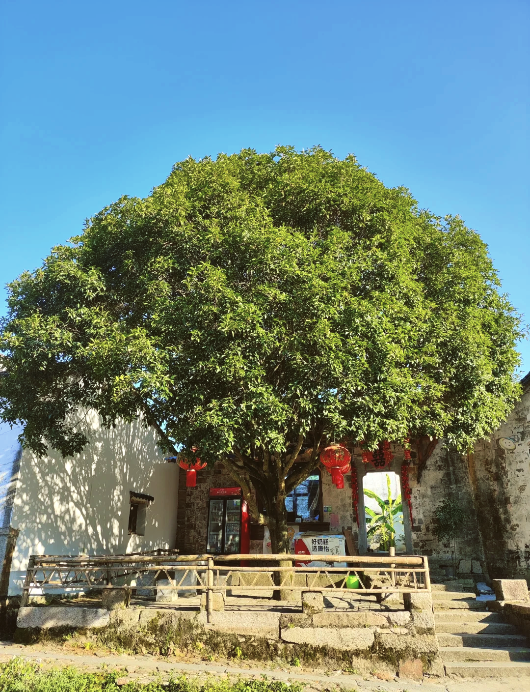 旅游景点大全(泾县旅游景点大全)-第1张图片