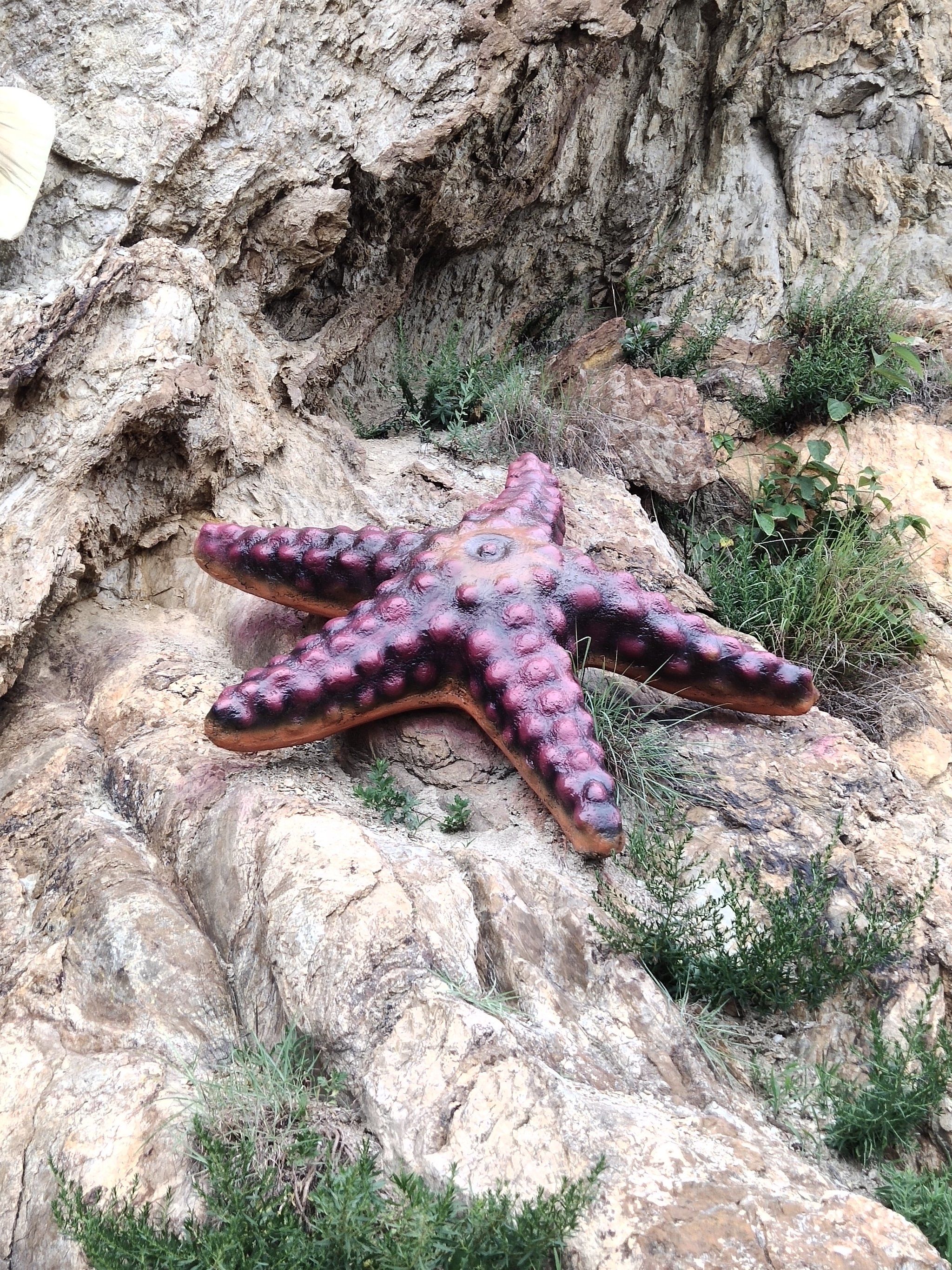 棒棰岛(棒棰岛门票多少钱一张)-第3张图片