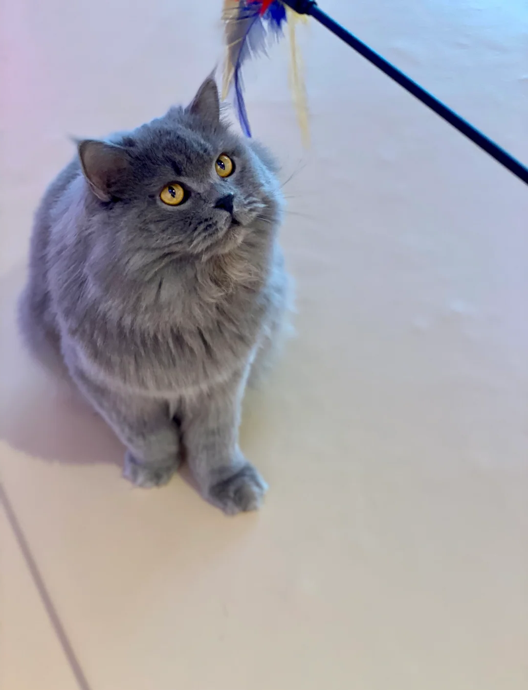 北京海洋馆图片/北京海洋馆-第2张图片