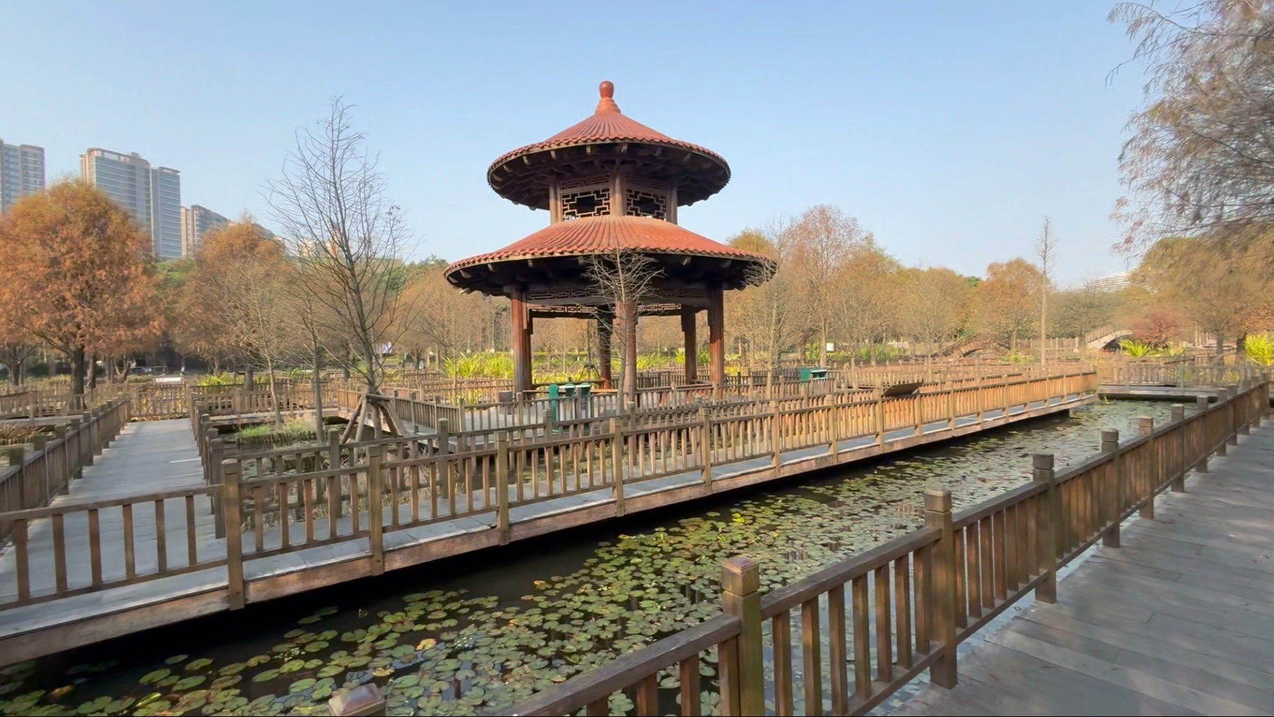 厦门五缘湾湿地公园(厦门五缘湾湿地公园好玩吗)-第1张图片