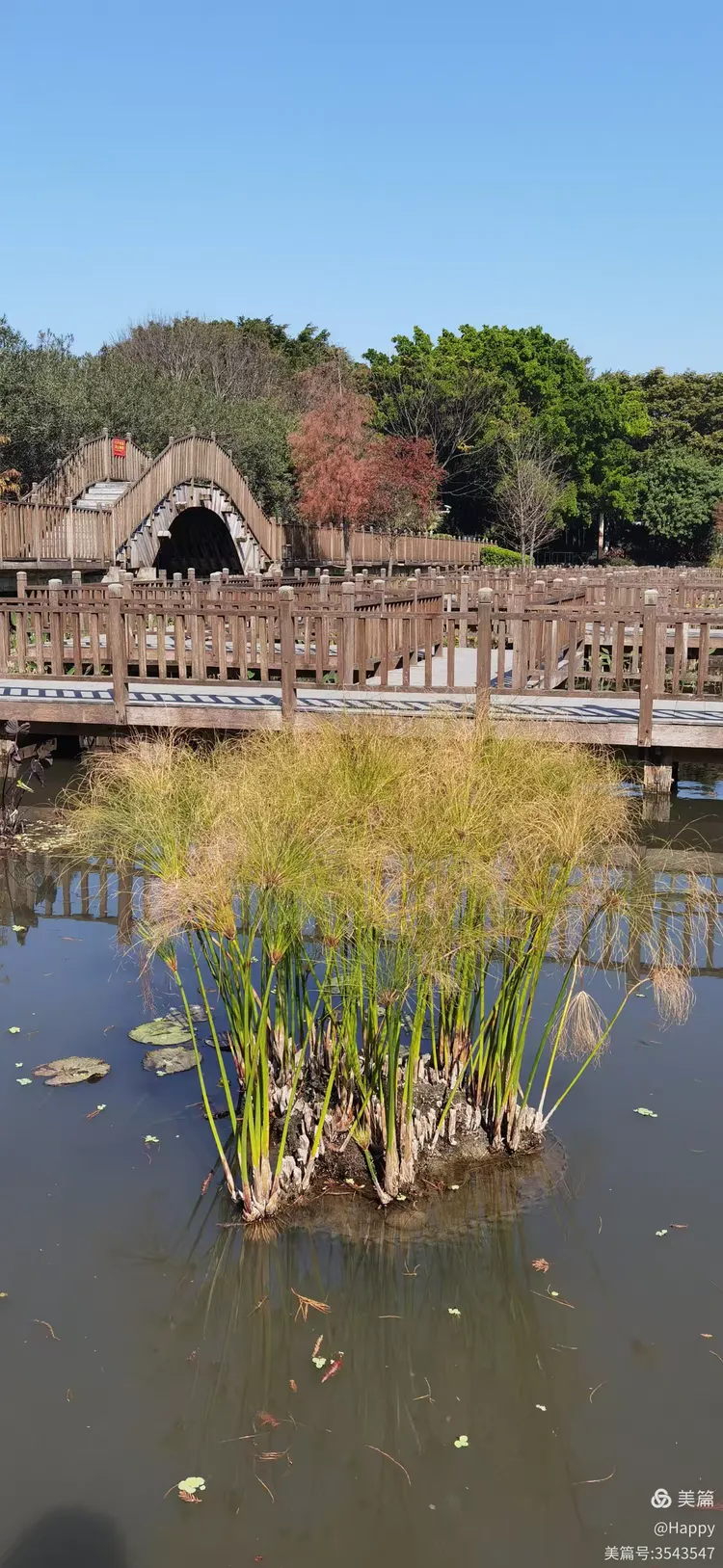 厦门五缘湾湿地公园(厦门五缘湾湿地公园好玩吗)-第2张图片