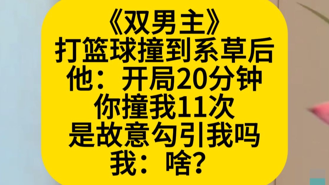 篮球类小说排名(经典篮球小说排名榜)-第2张图片