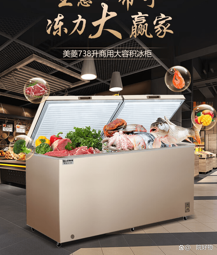 【中国前十冷柜品牌,中国前十冷柜品牌排名】-第2张图片