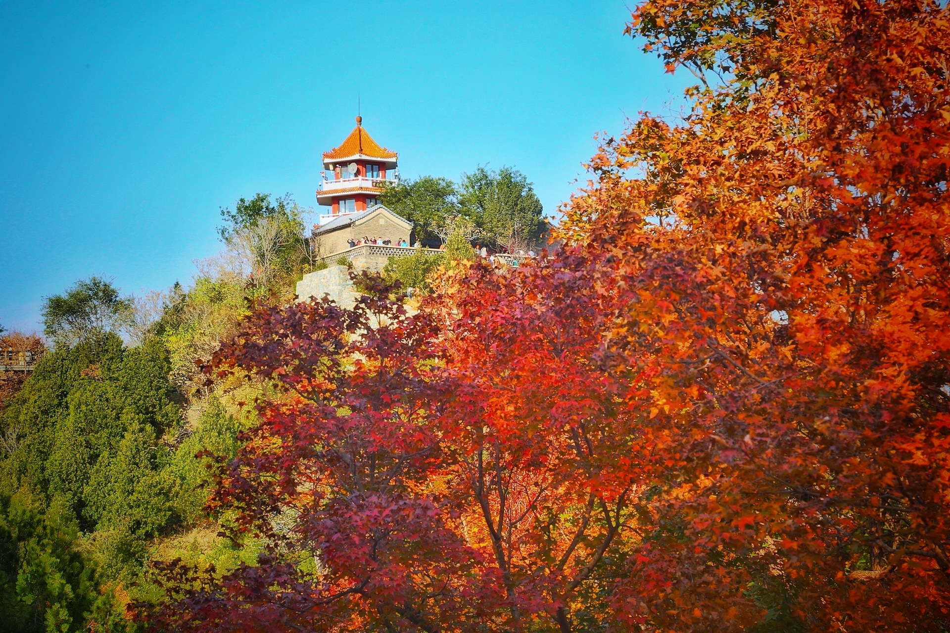 北京香山红叶观赏时间/北京香山红叶攻略-第3张图片