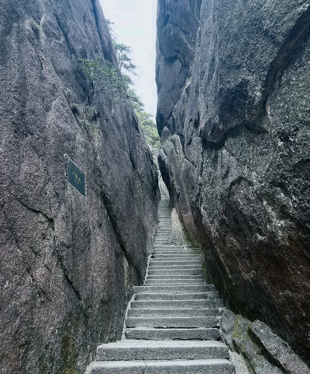黄山一日游最佳路线及时间/黄山一日游最佳攻略-第1张图片